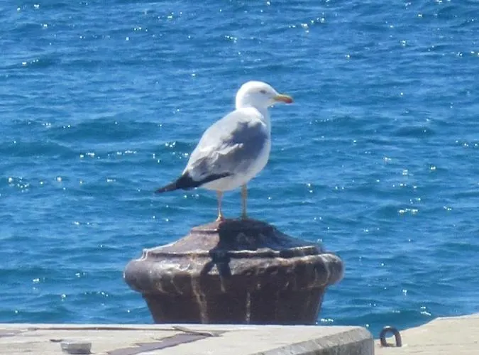 דירה Marija איזולה